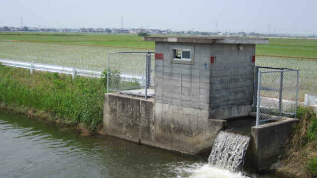 令和７年度　田植え状況