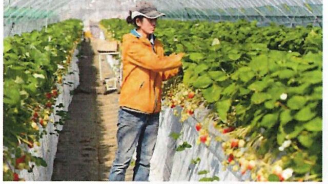 国営かんがい排水事業筑後川下流地区